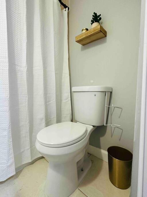 Coral Gables Miami Studio Near Airport And Beaches Экстерьер фото