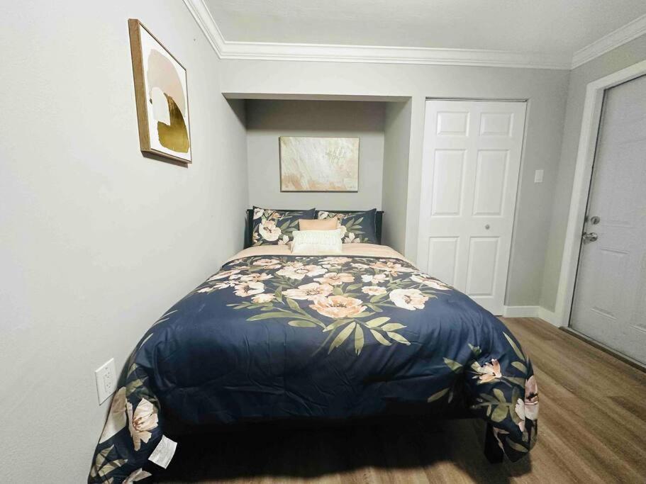 Coral Gables Miami Studio Near Airport And Beaches Экстерьер фото